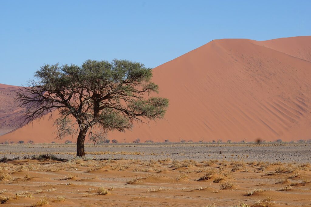 Désert du Namib, Solussvlei, Namibie © Jürgen Bierlein 