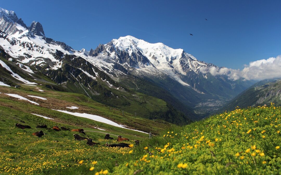 Le tour du Mont Blanc en été