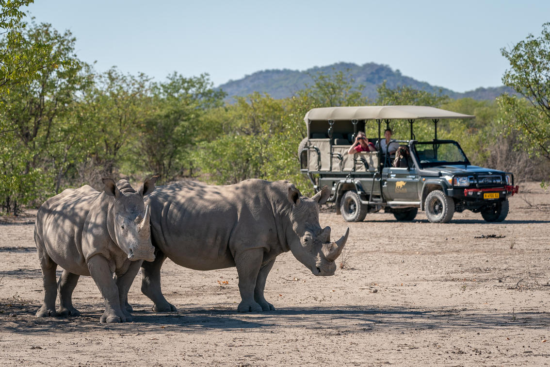 Rhinoceros, Ongava Game Reserve © Dana Allen / Ongava