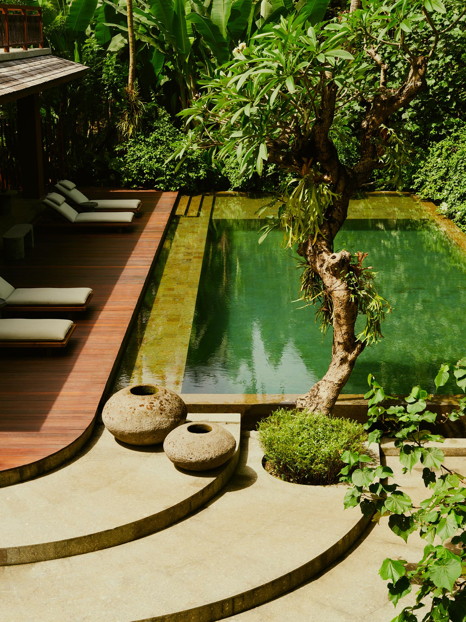 Jungle Pool, Lost Lindenberg, Bali, Indonésie © Robert Rieger / Lindenberg Hotels