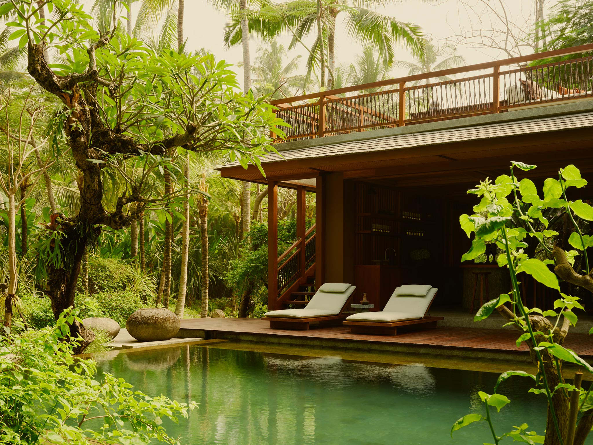 Une véritable Jungle Pool, Lost Lindenberg Bali, Indonésie © Robert Rieger / Lindenberg Hotels