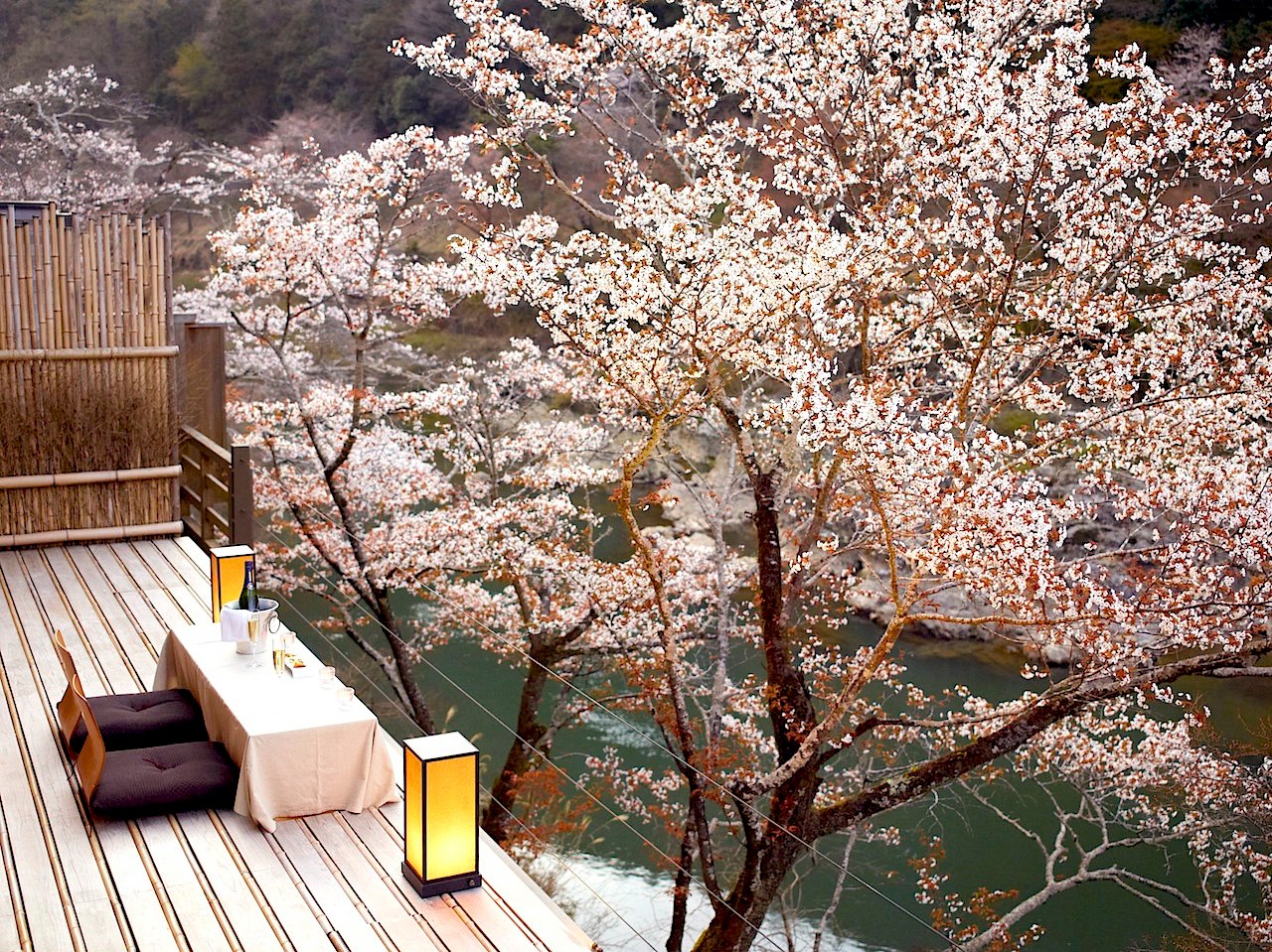 Terrasse Sakura et cerisiers en fleurs, Hôtel Hoshinoya Kyoto, Japon © Hoshino Resorts