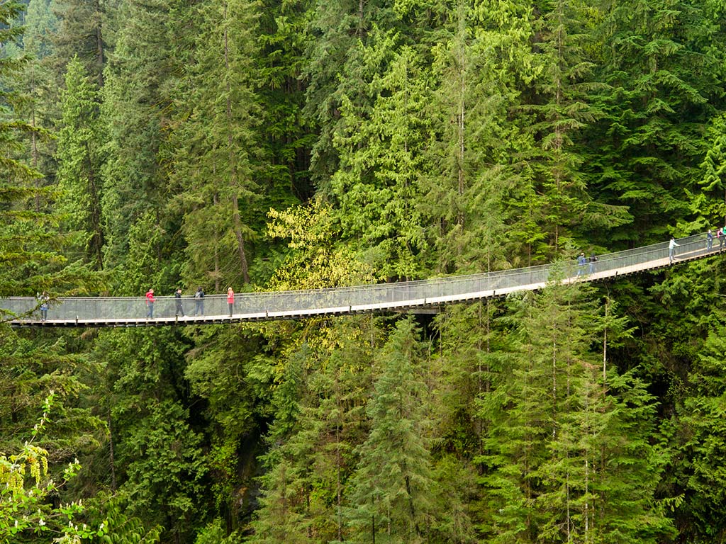 Pont suspendu Capilano, Colombie-Britannique, Canada © brookpeterson 