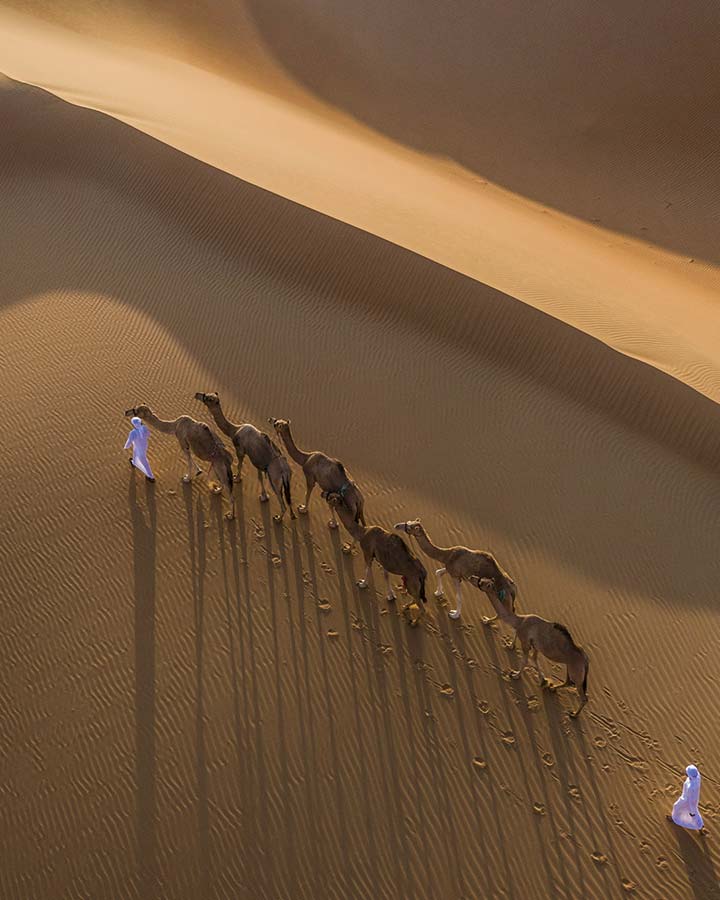 Excursion à dos de chameau, Hôtel Qasr Al Sarab Desert, Abu Dhabi © Anantara Hotels