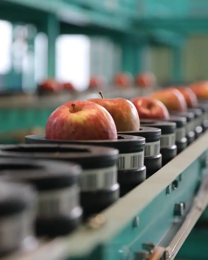 Production de pommes à Hirosaki, Shiki-Shima, Japon © East Japan Railway Company