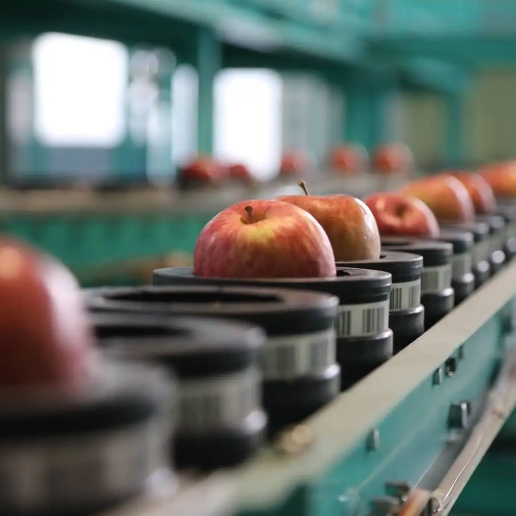 Production de pommes à Hirosaki, Shiki-Shima, Japon © East Japan Railway Company