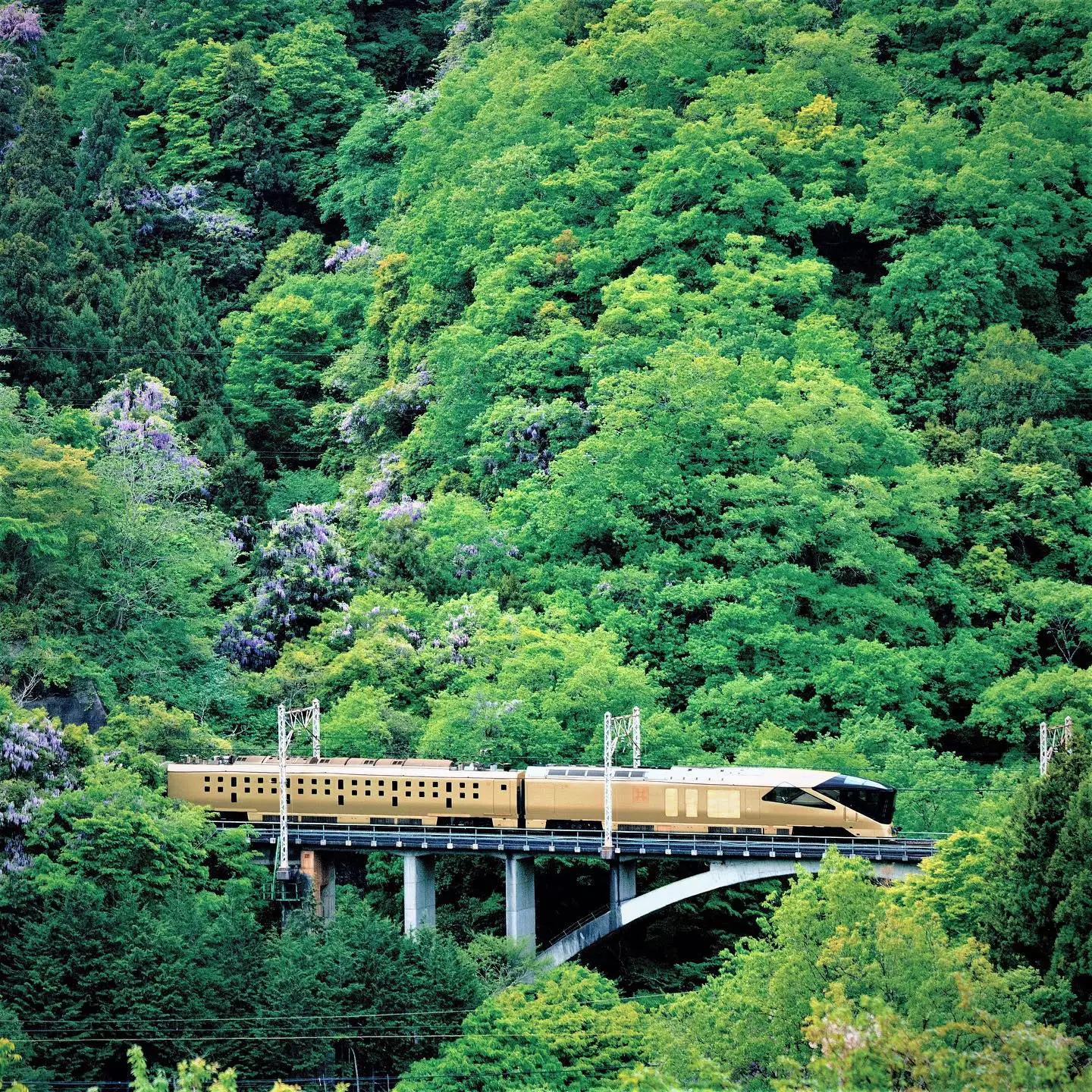 Le train Shiki-Shima, Japon © East Japan Railway Company