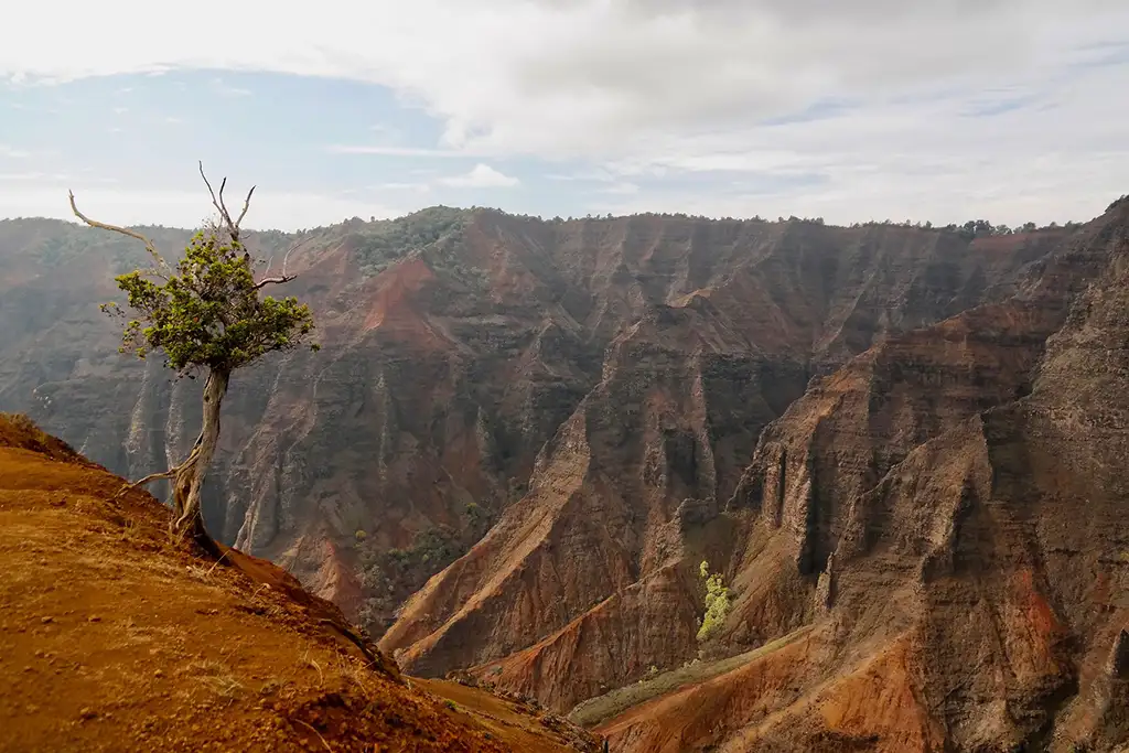 Canyon de Waimea, île de Kauai, Hawaï, Usa © Majaranda