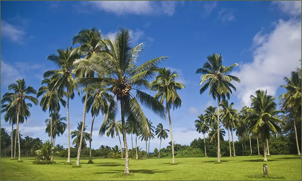 Jardin botanique de Kahanu, île de Maui, Hawaï, USA © Ron Cogswell