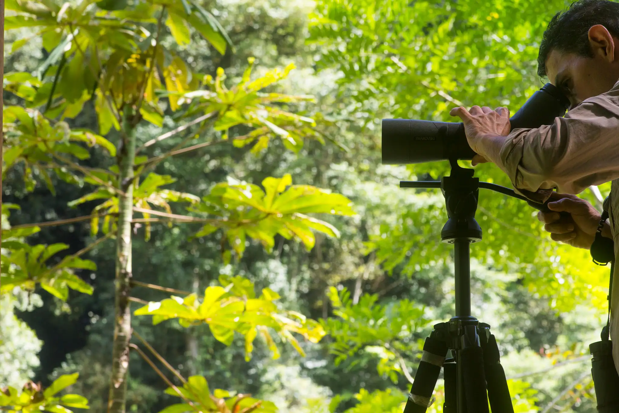 Observation des oiseaux, Pacuare Lodge, Costa Rica © Böëna Lodges