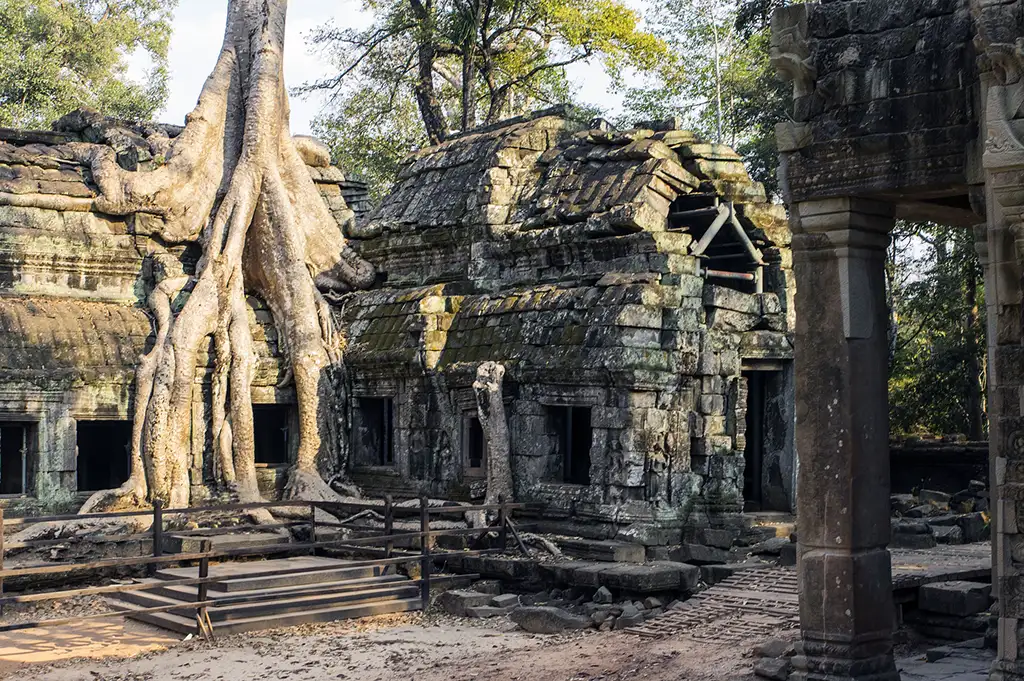 Tah Prohm, Angkor, Cambodge © patrickmoretti06